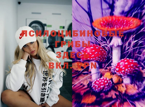 spice Аркадак