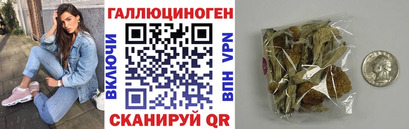 Галлюциногенные грибы ЛСД  Туринск 
