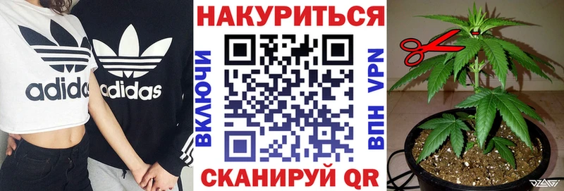 Канабис семена  наркота  Туринск 